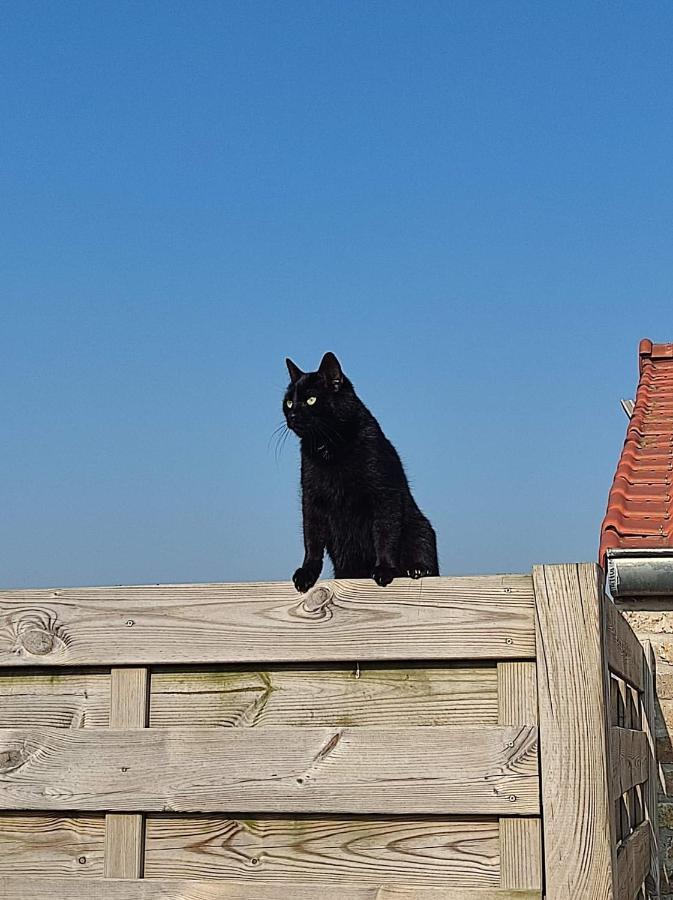 Villa De Blinker à Knokke-Le-Zoute Extérieur photo